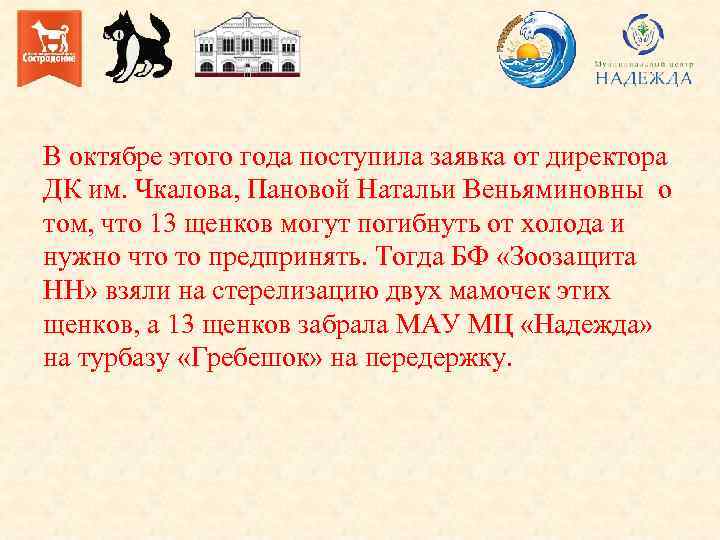 В октябре этого года поступила заявка от директора ДК им. Чкалова, Пановой Натальи Веньяминовны