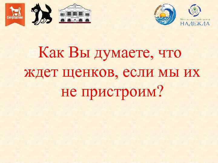  Как Вы думаете, что ждет щенков, если мы их не пристроим? 