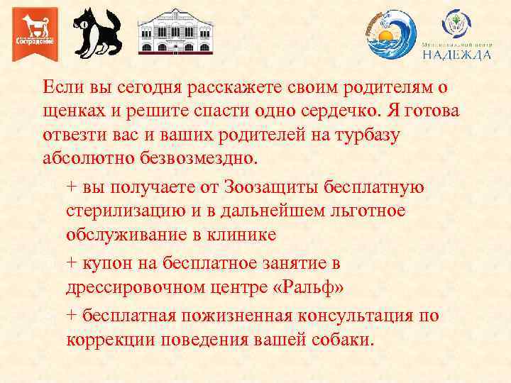 Если вы сегодня расскажете своим родителям о щенках и решите спасти одно сердечко. Я