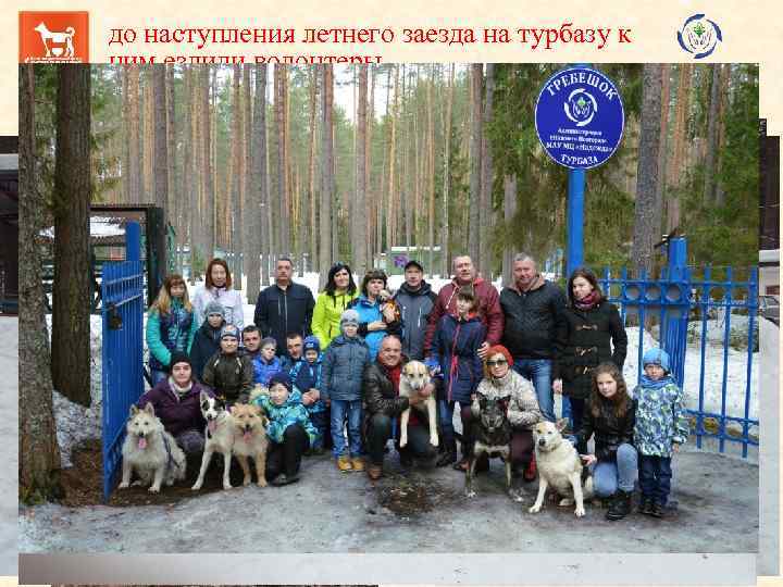 до наступления летнего заезда на турбазу к ним ездили волонтеры. Гуляли, вычесывали и играли