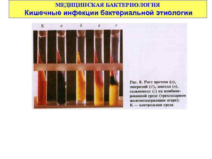 МЕДИЦИНСКАЯ БАКТЕРИОЛОГИЯ Кишечные инфекции бактериальной этиологии 