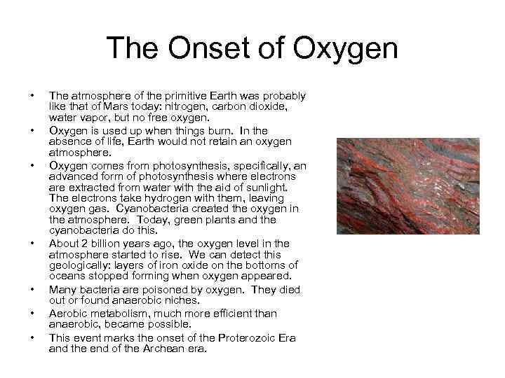 The Onset of Oxygen • • The atmosphere of the primitive Earth was probably