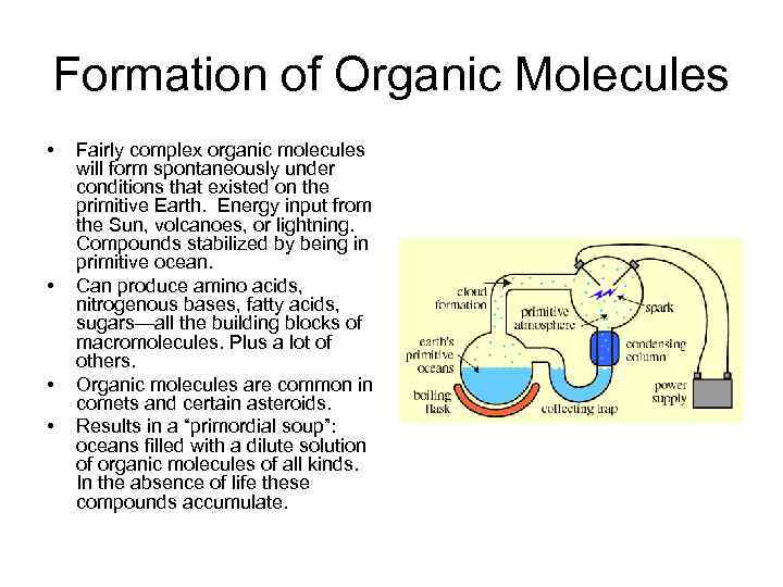 Formation of Organic Molecules • • Fairly complex organic molecules will form spontaneously under