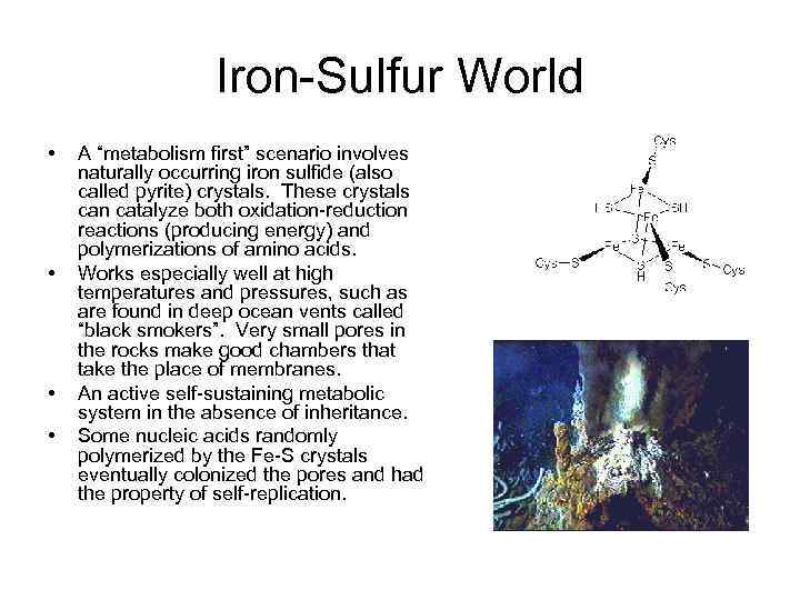 Iron-Sulfur World • • A “metabolism first” scenario involves naturally occurring iron sulfide (also