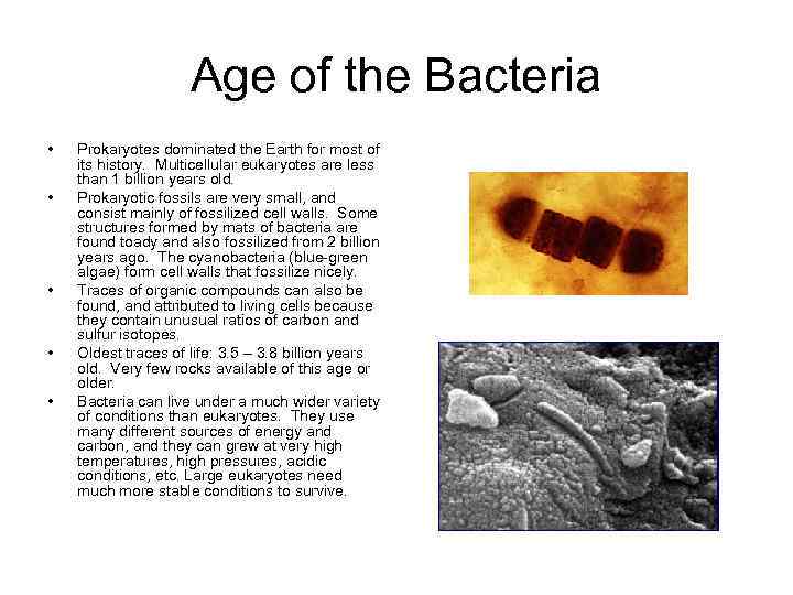 Age of the Bacteria • • • Prokaryotes dominated the Earth for most of