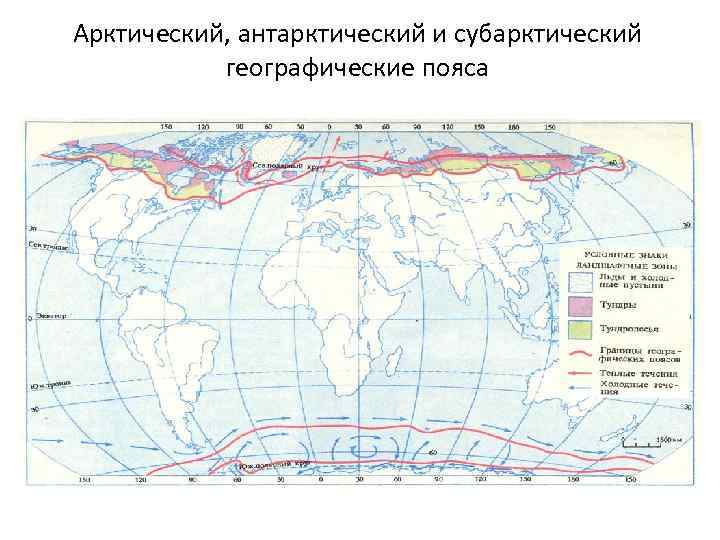 Арктический пояс карта