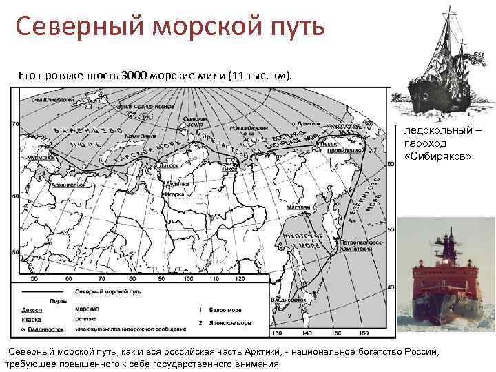 Северный морской путь Его протяженность 3000 морские мили (11 тыс. км). ледокольный – пароход