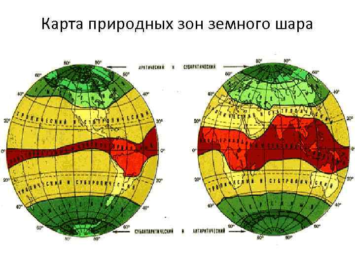 Карта природных зон земного шара 