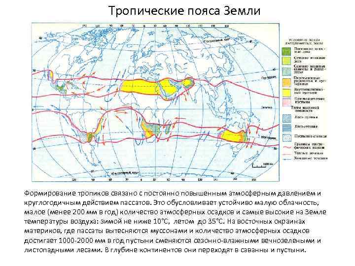 Тропические пояса Земли Формирование тропиков связано с постоянно повышенным атмосферным давлением и круглогодичным действием