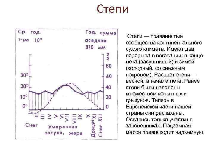 Степи — травянистые сообщества континентального сухого климата. Имеют два перерыва в вегетации: в конце