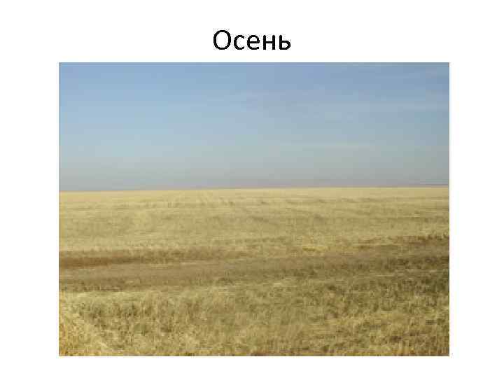 Осень 