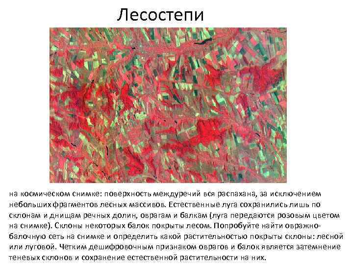 Лесостепи на космическом снимке: поверхность междуречий вся распахана, за исключением небольших фрагментов лесных массивов.