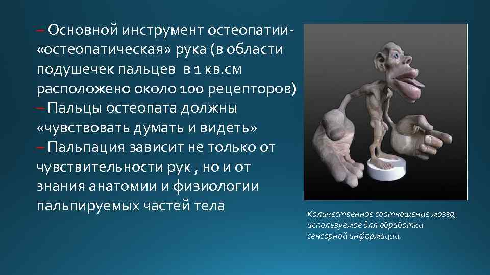 – Основной инструмент остеопатии- «остеопатическая» рука (в области подушечек пальцев в 1 кв. см