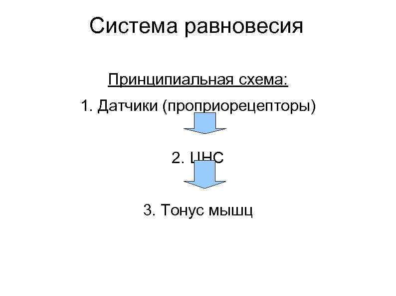 Система равновесия Принципиальная схема: 1. Датчики (проприорецепторы) 2. ЦНС 3. Тонус мышц 