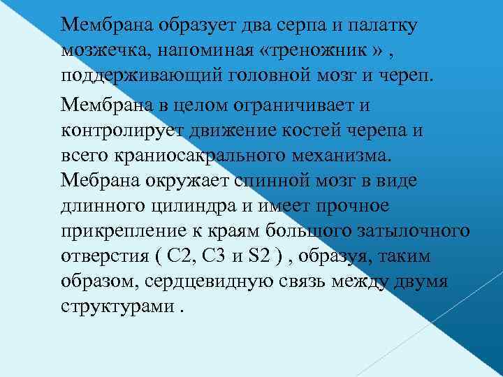 Мембрана образует два серпа и палатку мозжечка, напоминая «треножник » , поддерживающий головной мозг