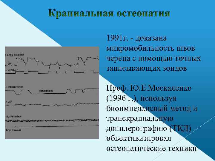 1991 г. - доказана микромобильность швов черепа с помощью точных записывающих зондов Проф. Ю.