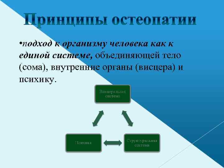  • подход к организму человека как к единой системе, объединяющей тело (сома), внутренние