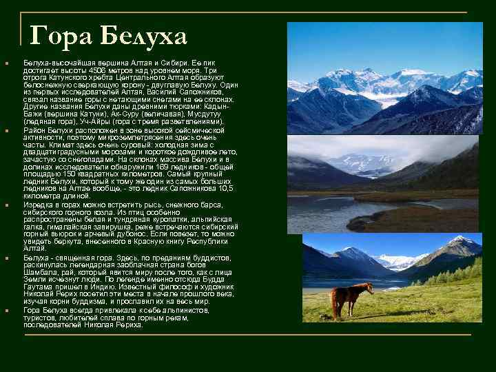 Гора Белуха n n n Белуха-высочайшая вершина Алтая и Сибири. Ее пик достигает высоты