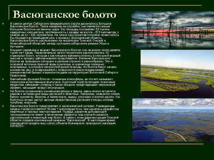 Васюганское болото n n n В самом центре Сибирского федерального округа раскинулось Большое Васюганское