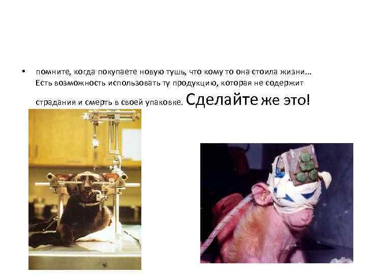  • помните, когда покупаете новую тушь, что кому то она стоила жизни. .