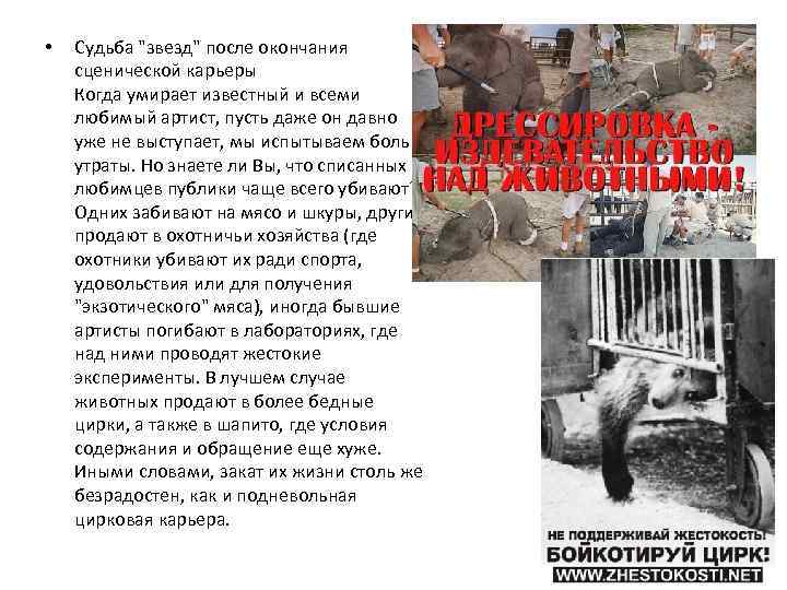  • Судьба "звезд" после окончания сценической карьеры Когда умирает известный и всеми любимый