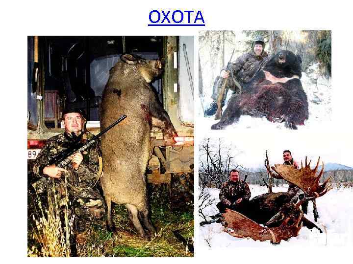 ОХОТА 