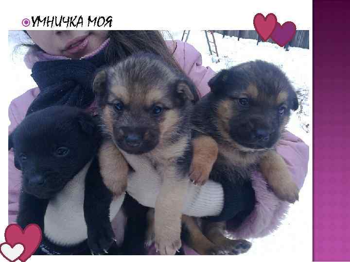  УМНИЧКА МОЯ 