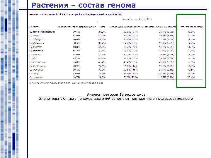 Растения – состав генома Анализ повторов 13 видов риса. Значительную часть геномов растений занимают