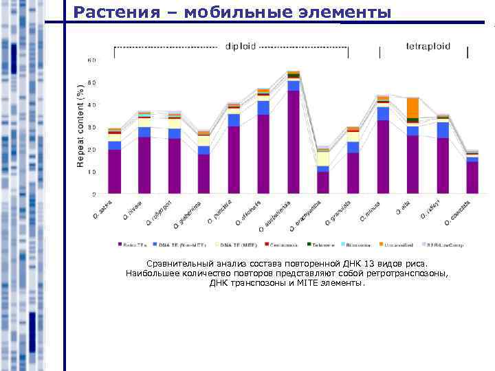 Растения – мобильные элементы Сравнительный анализ состава повторенной ДНК 13 видов риса. Наибольшее количество