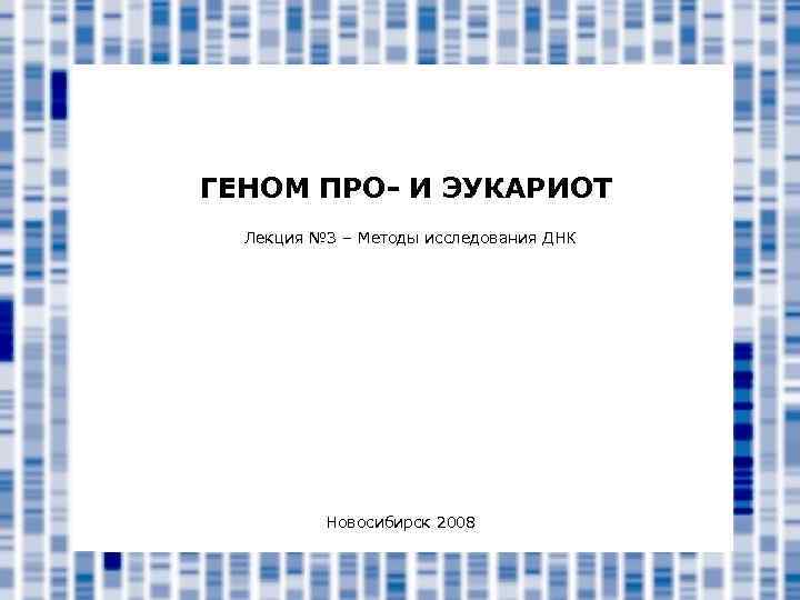 ГЕНОМ ПРО- И ЭУКАРИОТ Лекция № 3 – Методы исследования ДНК Новосибирск 2008 