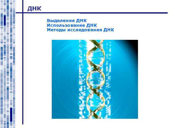 ДНК Выделение ДНК Использование ДНК Методы исследования ДНК 