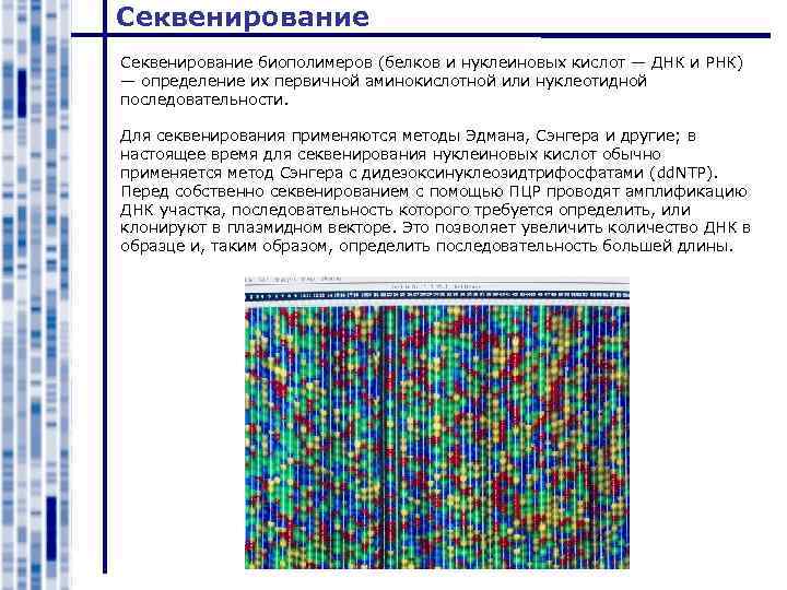 Секвенирование биополимеров (белков и нуклеиновых кислот — ДНК и РНК) — определение их первичной