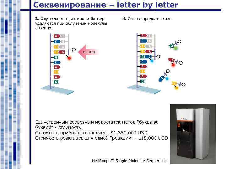 Секвенирование – letter by letter 3. Флуоресцентная метка и блокер удаляются при облучении молекулы
