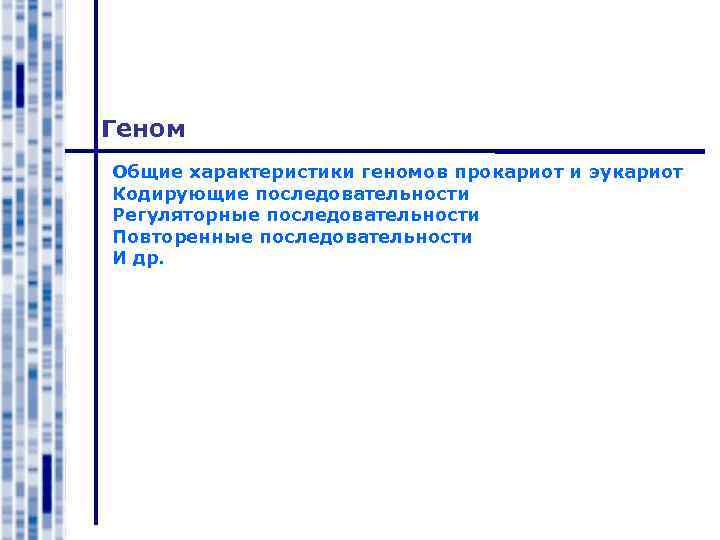 Геном Общие характеристики геномов прокариот и эукариот Кодирующие последовательности Регуляторные последовательности Повторенные последовательности И