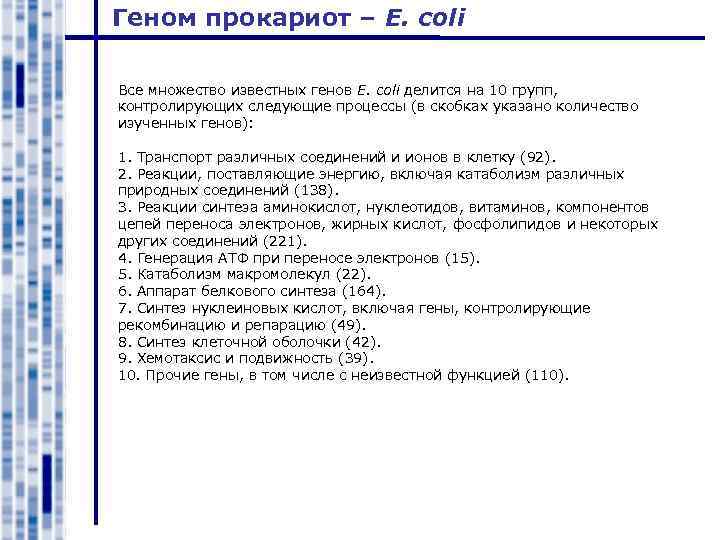 Геном прокариот – E. coli Все множество известных генов E. coli делится на 10