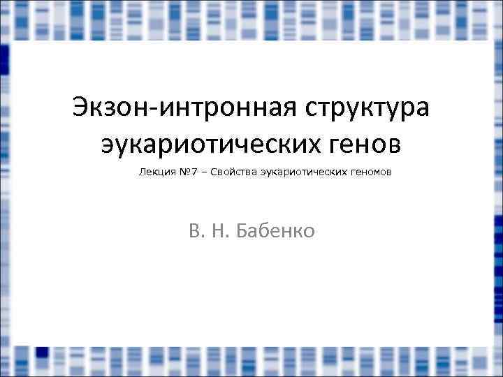 Экзон-интронная структура эукариотических генов Лекция № 7 – Свойства эукариотических геномов В. Н. Бабенко