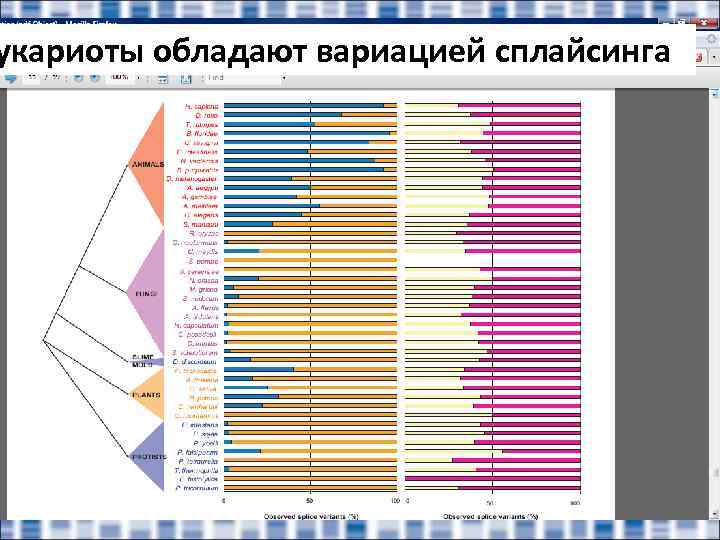 укариоты обладают вариацией сплайсинга 