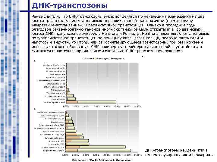 ДНК-транспозоны Ранее считали, что ДНК-транспозоны эукариот делятся по механизму перемещения на два класса: размножающиеся
