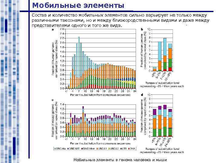 Мобильные элементы Состав и количество мобильных элементов сильно варьирует не только между различными таксонами,