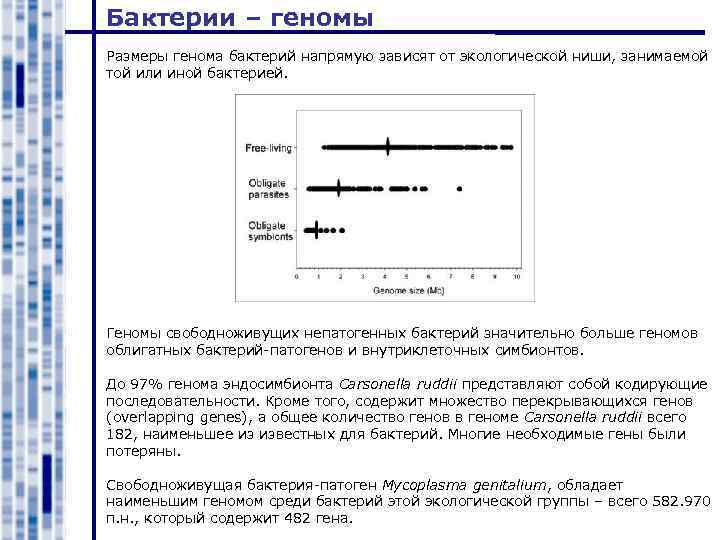 Бактерии – геномы Размеры генома бактерий напрямую зависят от экологической ниши, занимаемой той или