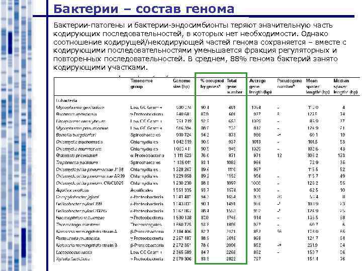 Бактерии – состав генома Бактерии-патогены и бактерии-эндосимбионты теряют значительную часть кодирующих последовательностей, в которых
