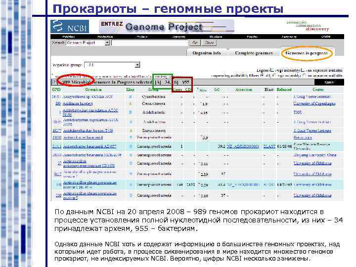 Прокариоты – геномные проекты По данным NCBI на 20 апреля 2008 – 989 геномов