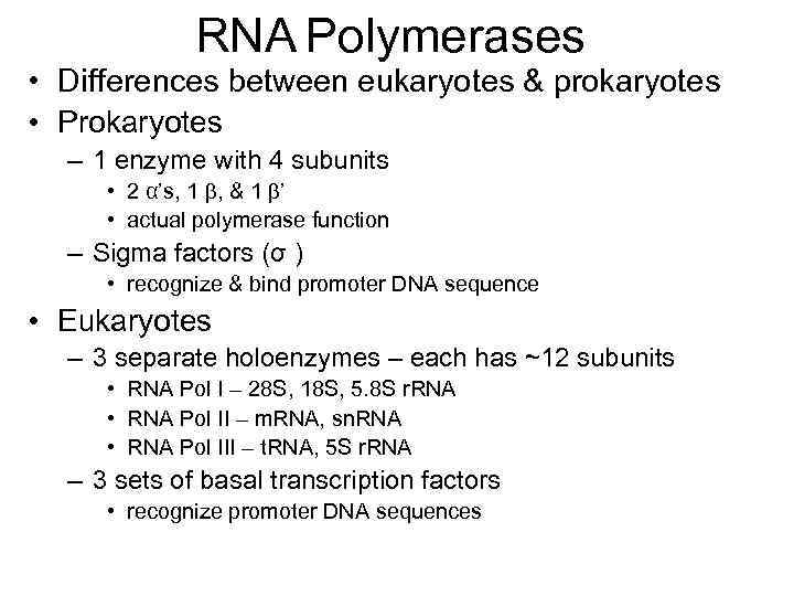 RNA Polymerases • Differences between eukaryotes & prokaryotes • Prokaryotes – 1 enzyme with