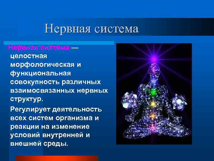 Составьте и заполните схему значение нервной системы