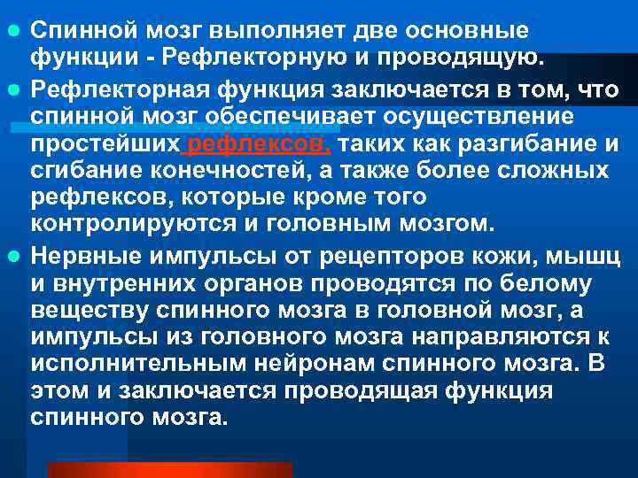 Спинной мозг выполняет две основные функции - Рефлекторную и проводящую. l Рефлекторная функция заключается