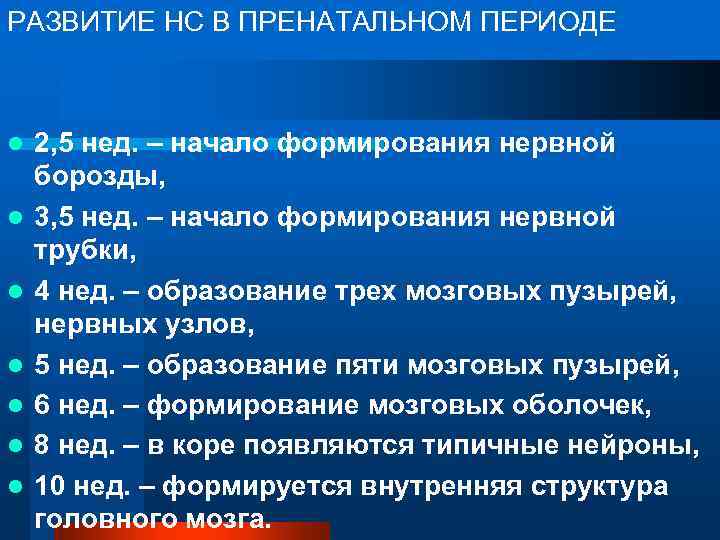 РАЗВИТИЕ НС В ПРЕНАТАЛЬНОМ ПЕРИОДЕ l l l l 2, 5 нед. – начало