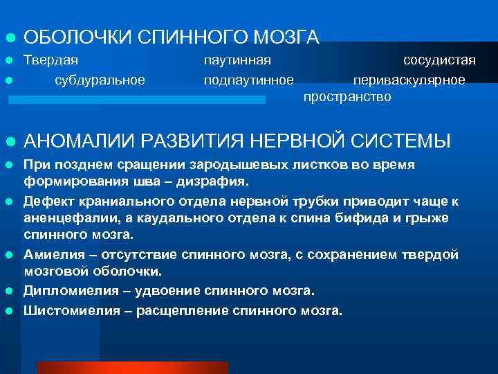 l ОБОЛОЧКИ СПИННОГО МОЗГА Твердая l субдуральное l паутинная подпаутинное сосудистая периваскулярное пространство l