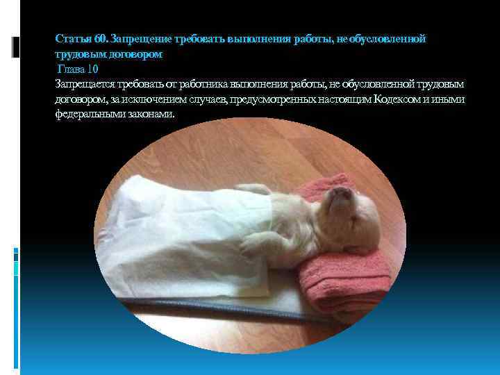 Статья 60. Запрещение требовать выполнения работы, не обусловленной трудовым договором Глава 10 Запрещается требовать