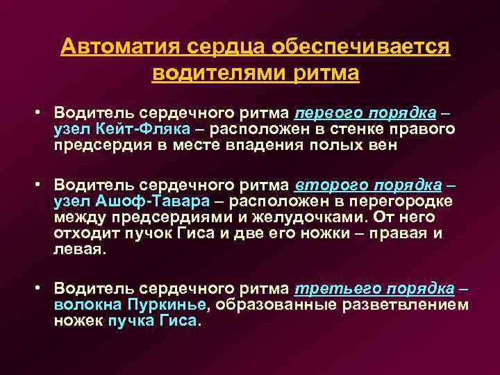 Автоматия сердца обеспечивается водителями ритма • Водитель сердечного ритма первого порядка – узел Кейт-Фляка