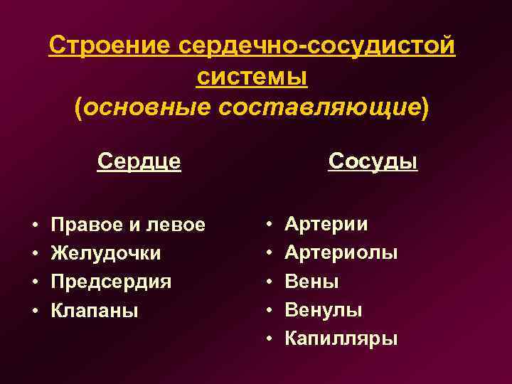 Строение сердечно-сосудистой системы (основные составляющие) Сосуды Сердце • • Правое и левое Желудочки Предсердия